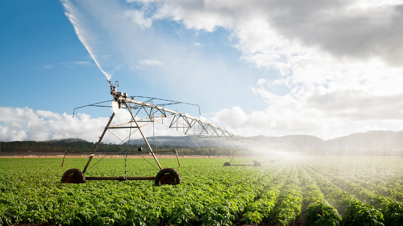 A tecnologia na irrigação garante economia de água e eficiência no campo, ressalta Aldo Vendramin.