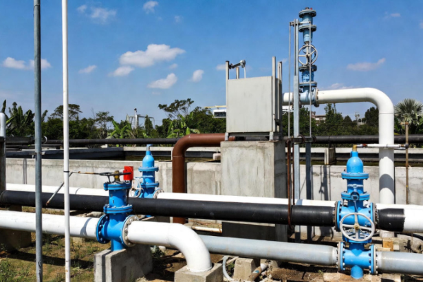 Parcerias público-privadas são motor de inovação e expansão do saneamento básico em diversas regiões, observa a EBS – Empresa Brasileira de Saneamento LTDA.