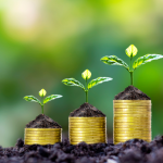 Ediney Jara de Oliveira mostra como a educação financeira é a chave para uma economia mais estável.