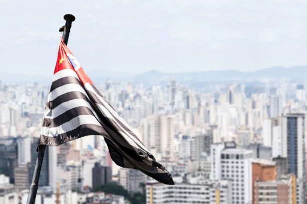 Desemprego em São Paulo atinge menor taxa em 13 anos e redesenha o mercado de trabalho em 2025