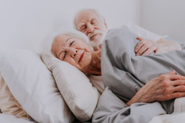 Sindnapi - Sindicato Nacional dos Aposentados, Pensionistas e Idosos