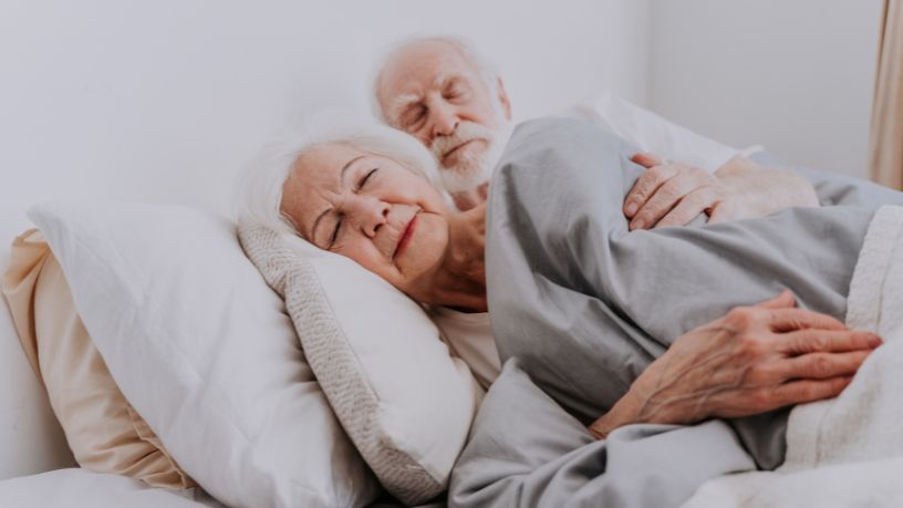 Sindnapi - Sindicato Nacional dos Aposentados, Pensionistas e Idosos