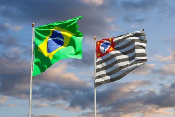 Simone Tebet e o cenário político em São Paulo: possíveis caminhos e impactos para 2026