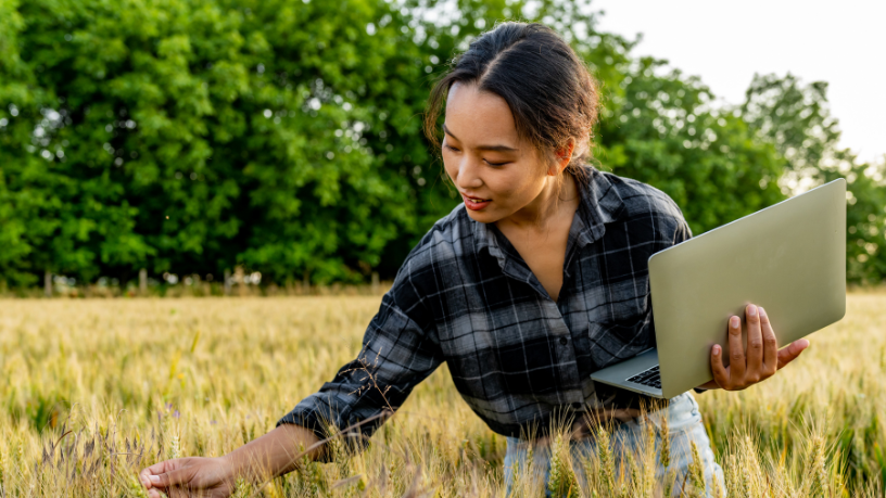 Inteligência Artificial Impulsiona Produtividade e Sustentabilidade no Agronegócio de São PauloInteligência Artificial Impulsiona Produtividade e Sustentabilidade no Agronegócio de São Paulo